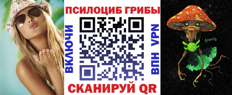 Галлюциногенные грибы Psilocybe  купить наркотики сайты  Шумиха 